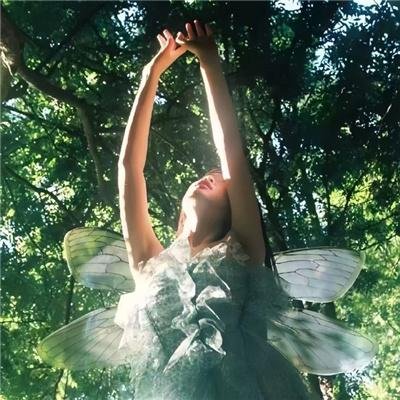 离婚后她名动商界